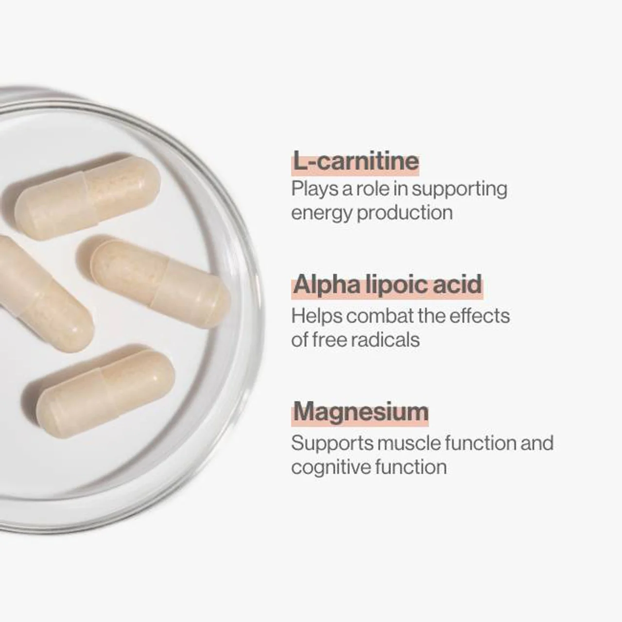 Advanced Nutrition Programme Pro-Energy - Image 3