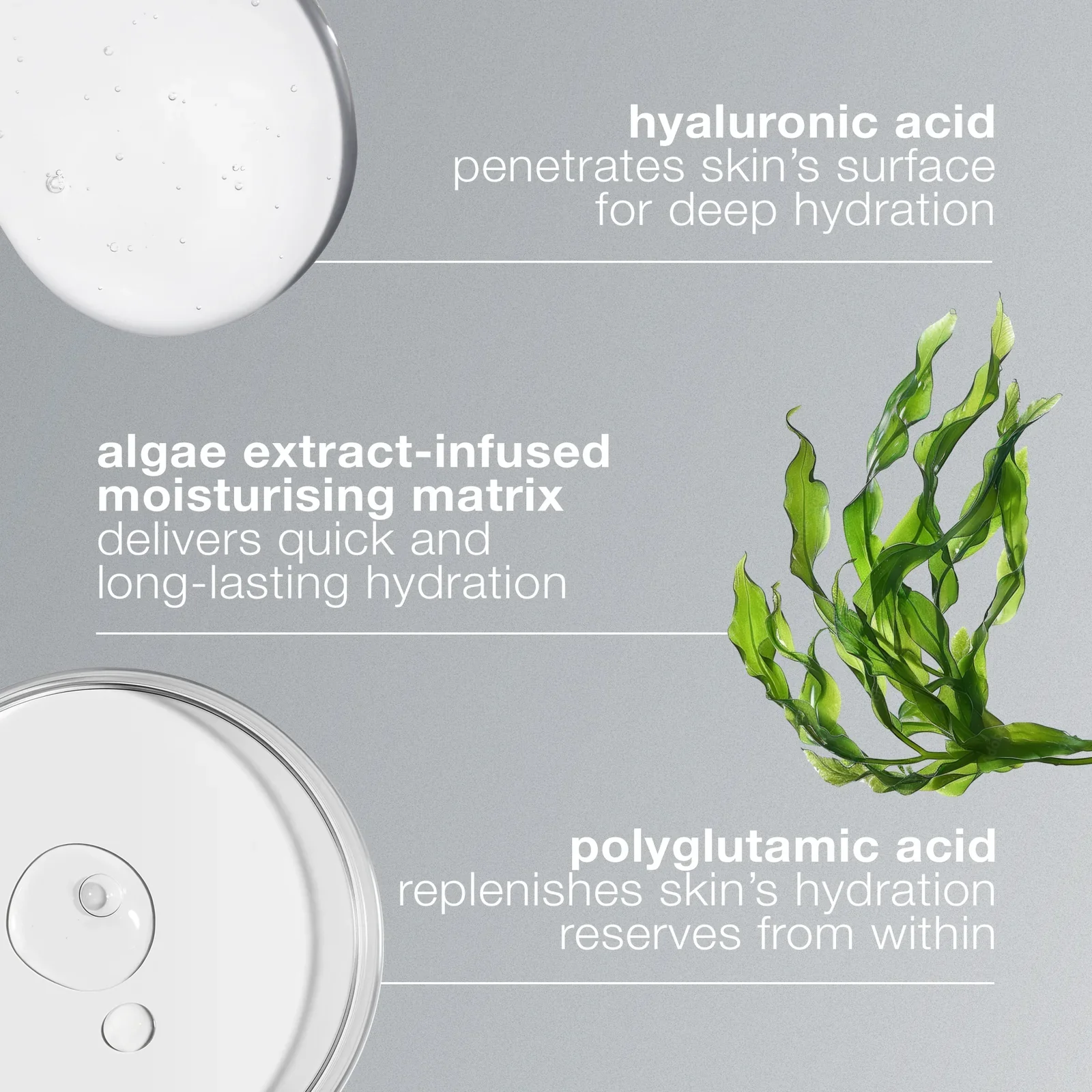 Dermalogica Circular Hydration Serum - Image 3