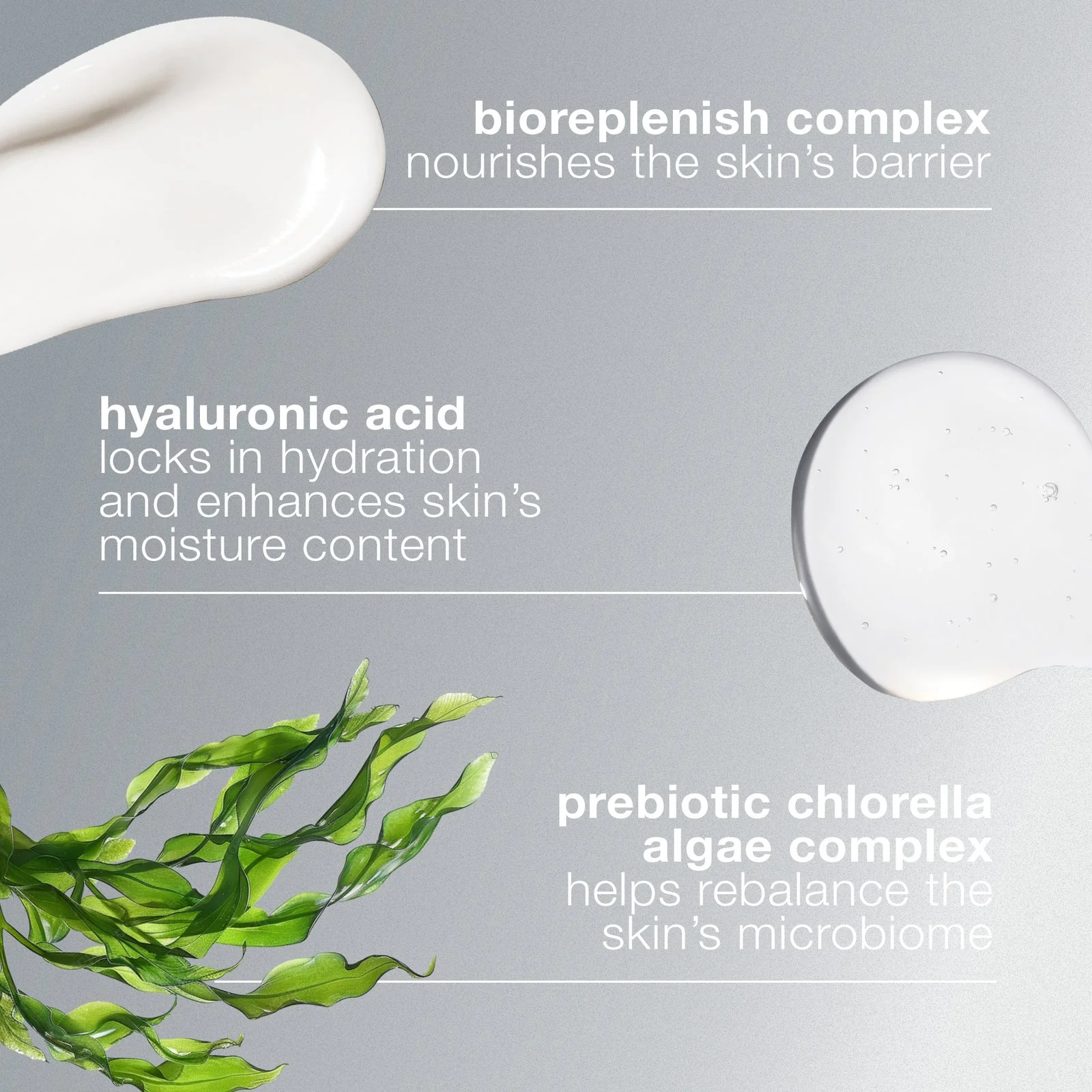 Dermalogica Intensive Moisture Balance - Image 3