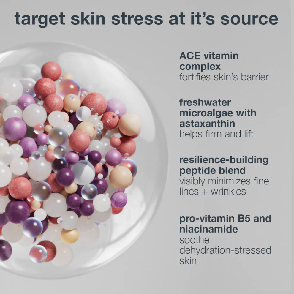 Dermalogica Multivitamin Power Recovery Cream 50ml - Image 6