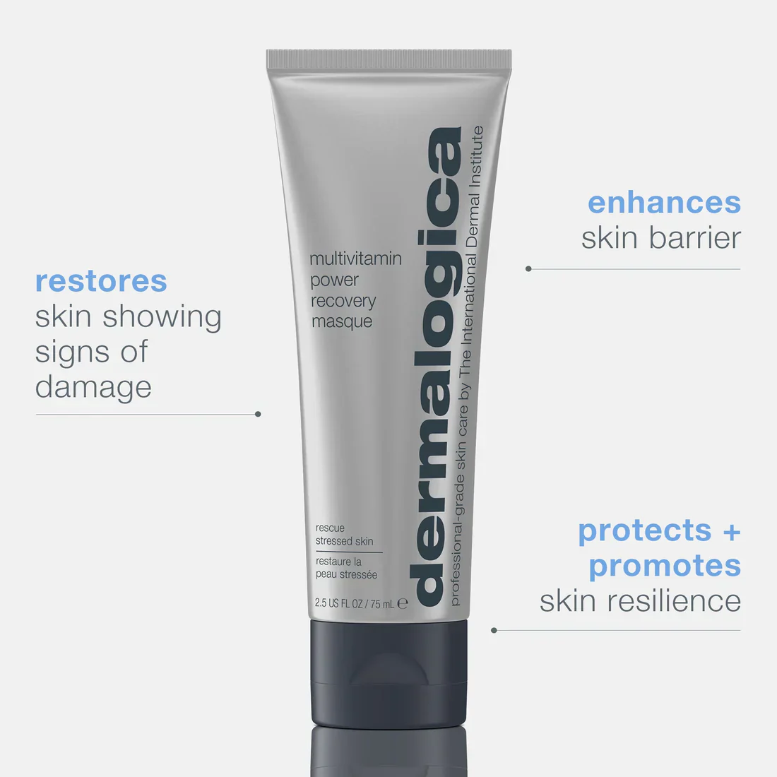 Dermalogica Multivitamin Power Recovery Masque - Image 2