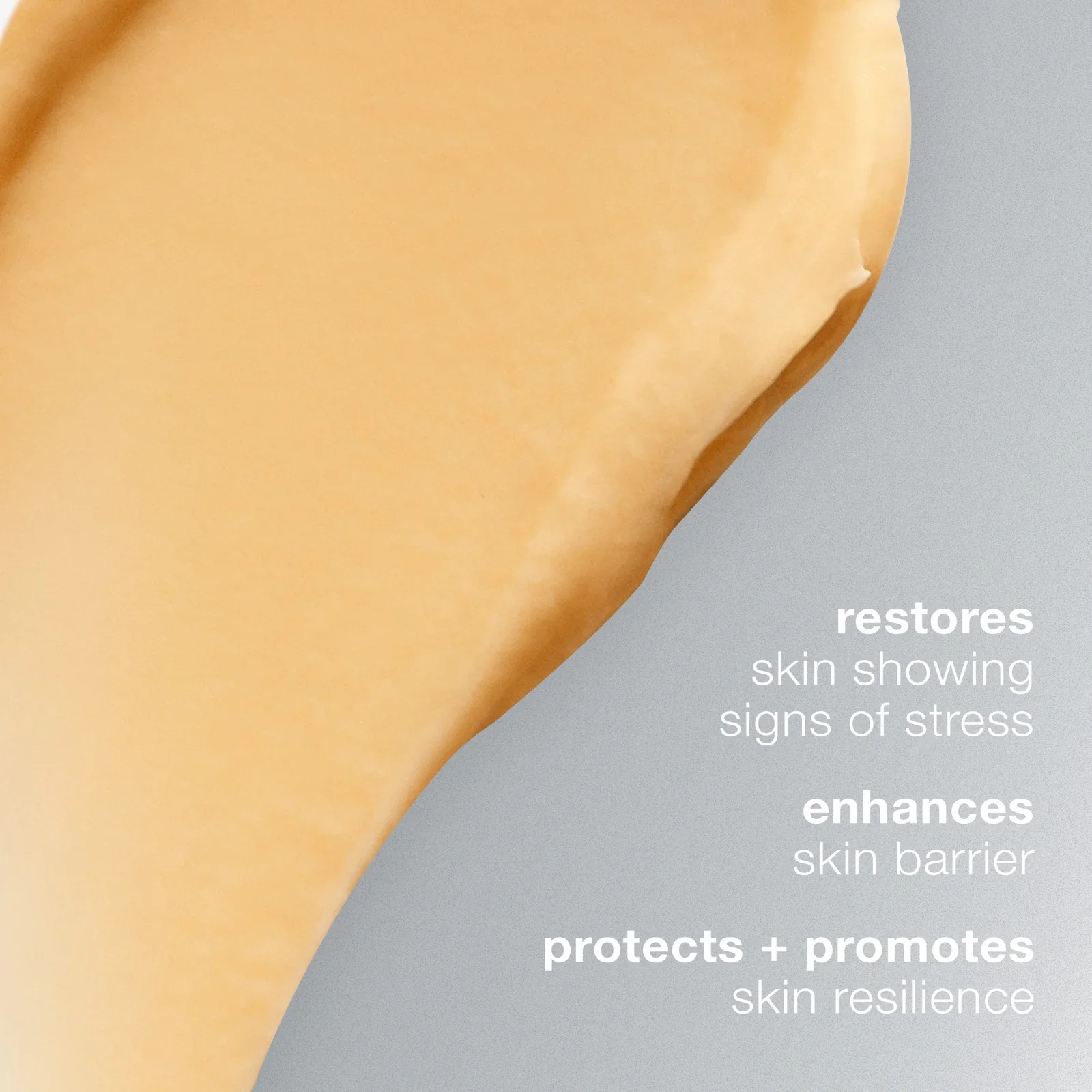 Dermalogica Multivitamin Power Recovery Masque - Image 3
